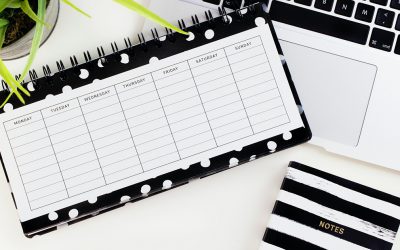 Work Smarter: See the future of your blog post flow